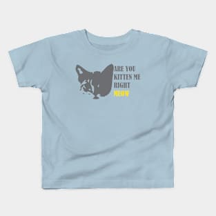 Are You Kitten Me Right Meow Kids T-Shirt